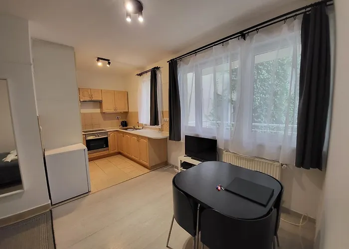Hi Downtown A308 Apartment *